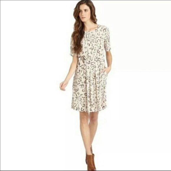 BCBGMaxAzria Dresses & Skirts - Max and Cleo Leopard Quarter Sleeve Shift Dress